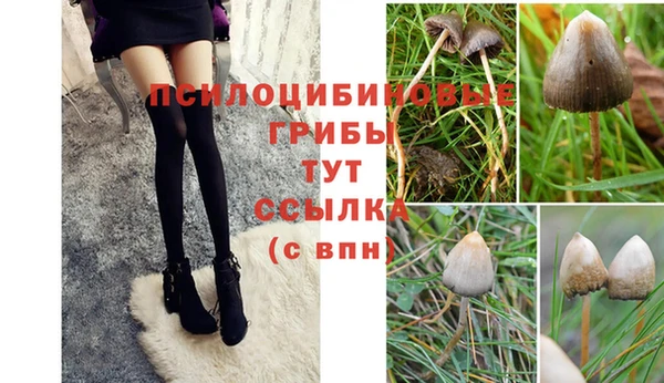 герыч Алзамай