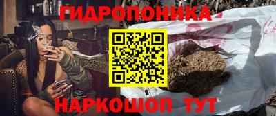 МДПВ Гусев
