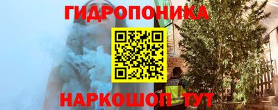 МДПВ Гусев