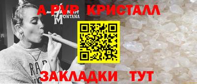 спиды Гусиноозёрск