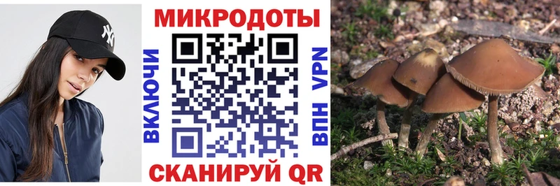 закладка  Качканар  Галлюциногенные грибы мухоморы 