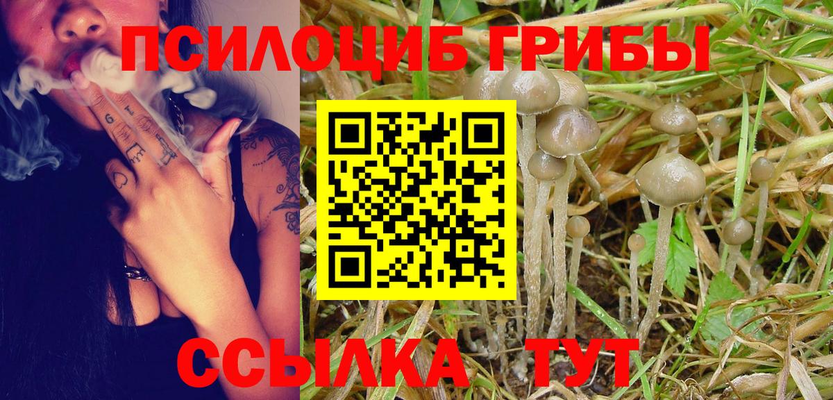 Псилоцибиновые грибы Magic Shrooms Качканар