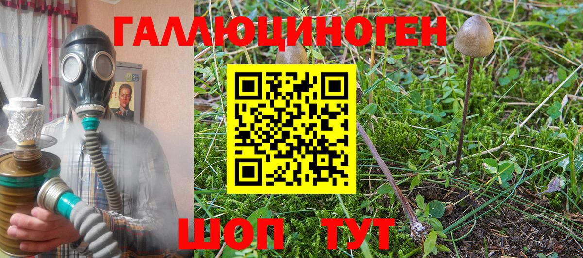Галлюциногенные грибы ЛСД  где найти наркотики  Качканар  Псилоцибиновые грибы Magic Shrooms  Вход с VPN 